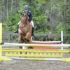 HRC horse show