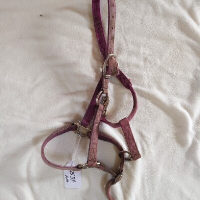 Burgundy Foal Halter - Burgundy