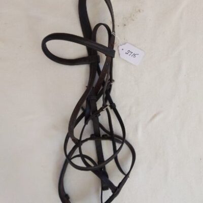 Black Leather Bridle (No bit)