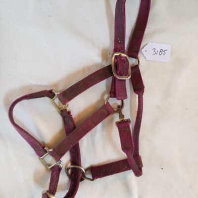 Burgundy Full Size Halter