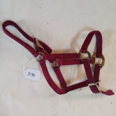 Burgundy Pony Halter