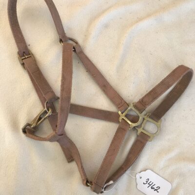 Pink Foal Halter