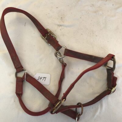 Red Full Halter