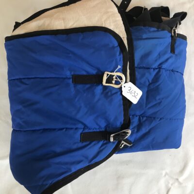Blue Winter 80 Inch Blanket