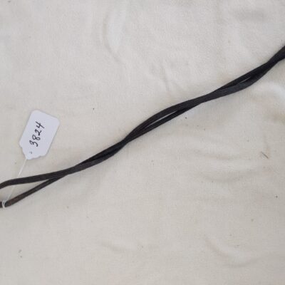 Lunge Whip Black
