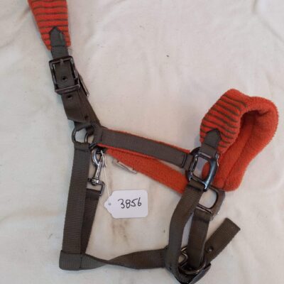 Grey and Orange LeMieux Halter