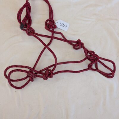 Red and Black Rope Halter