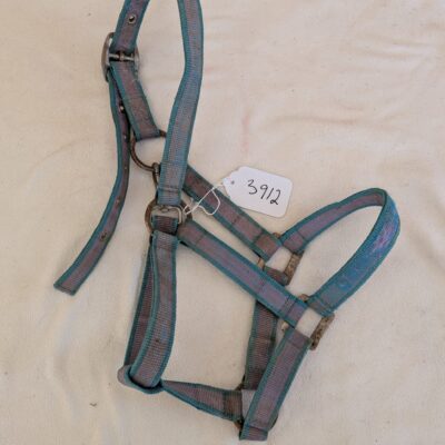 Aqua and Purple Foal Halter