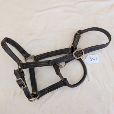 Brown Leather Halter Full