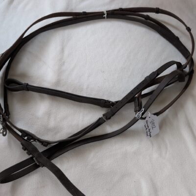 German Martingale with Reins