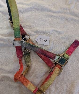 Rainbow Halter Cob