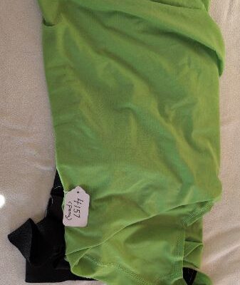 Lime Green Slinky Pony