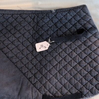 Blue Saddle Pad Pony