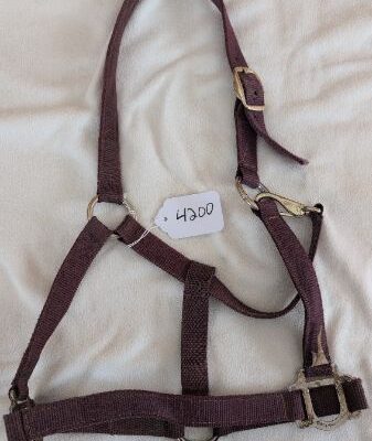 Burgundy Nylon Halter