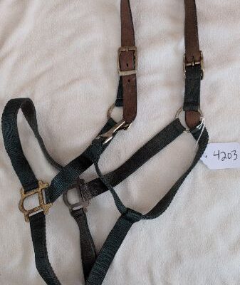 Green Leather and Nylon Halter