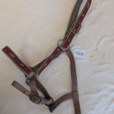 Red and Gold Halter Full