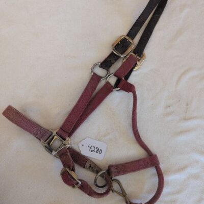 Weaver Red and Leather Halter