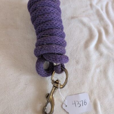 Leather with Purple Chain Lead