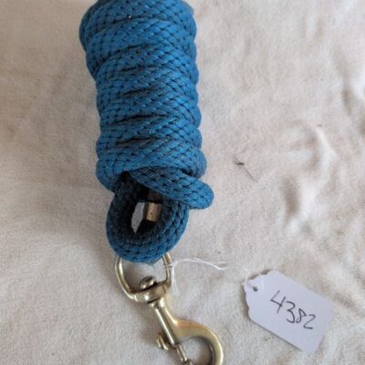Blue Lead Rope